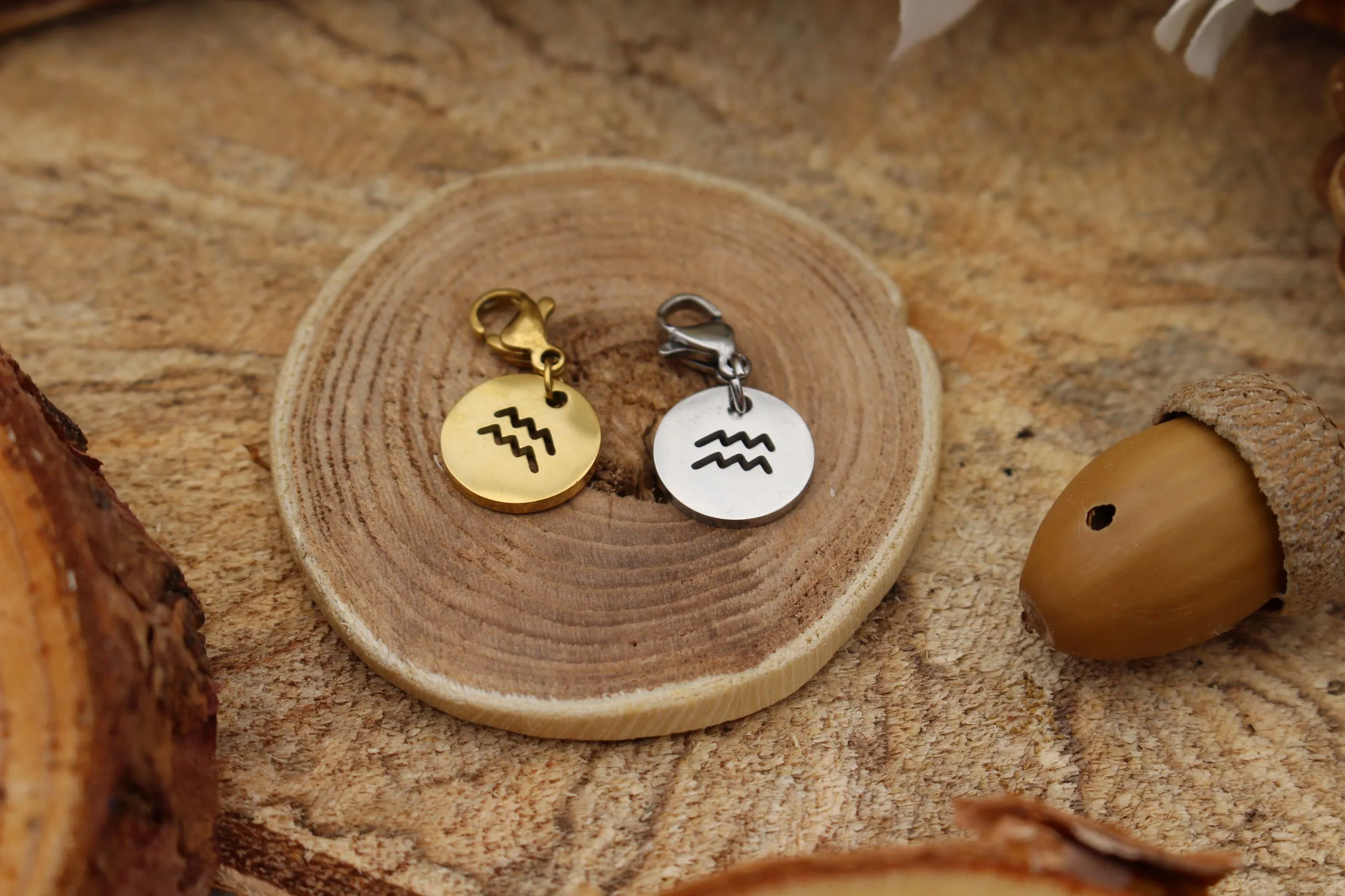 Charm Zodiaque – Image 2