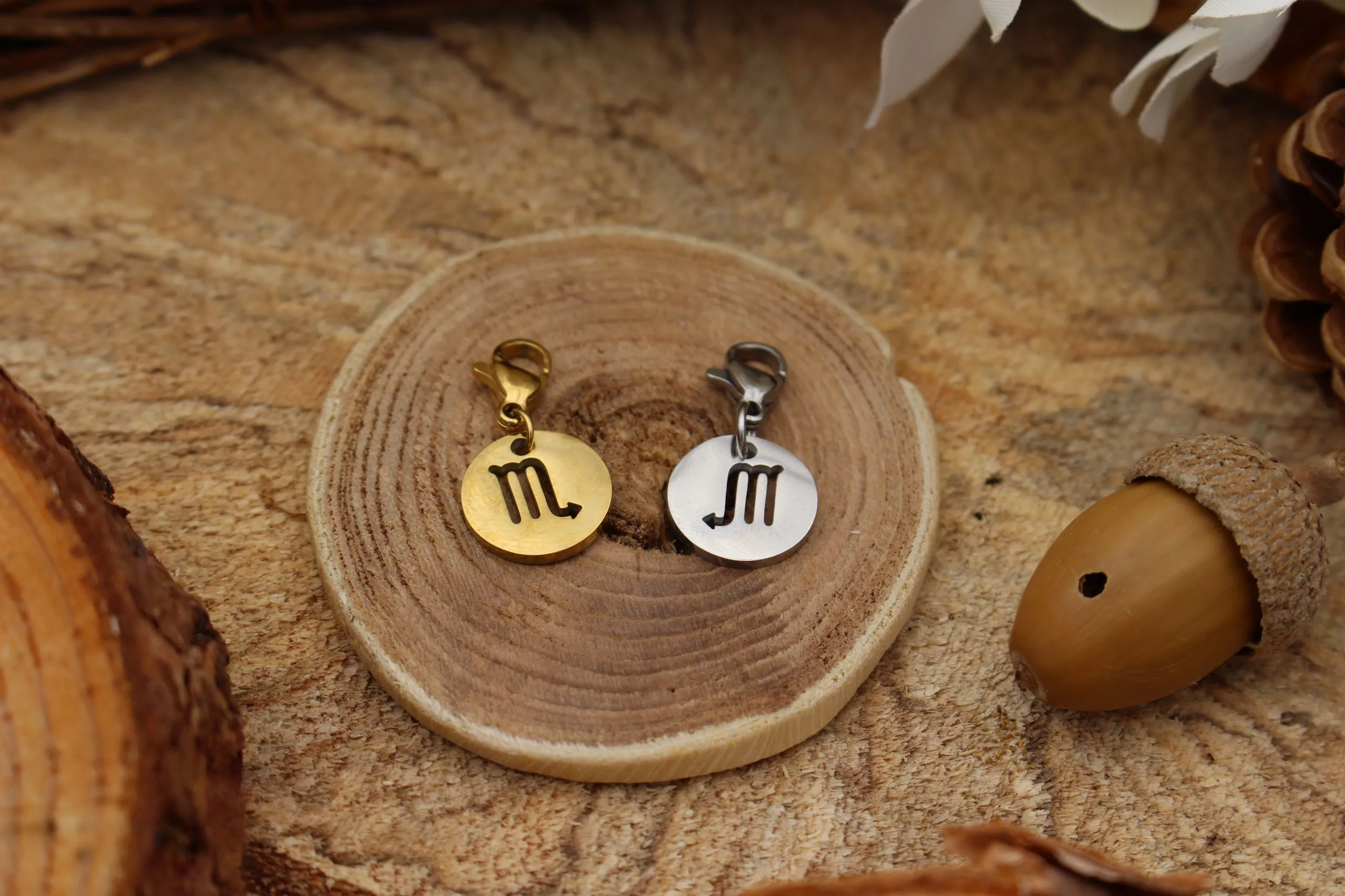 Charm Zodiaque – Image 8
