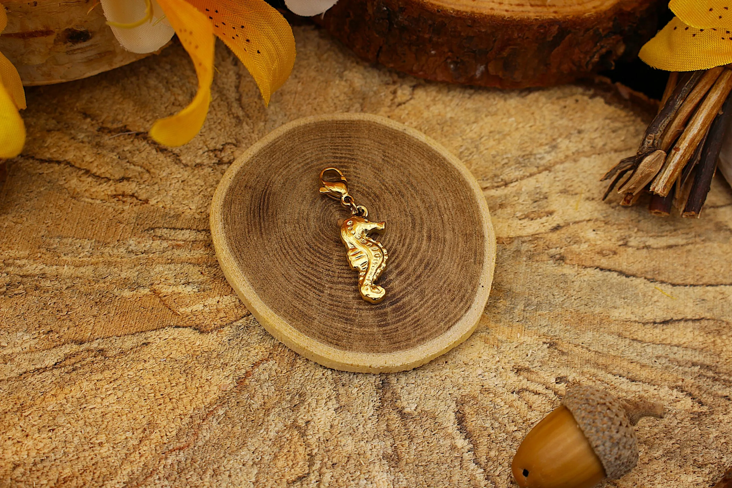 Charm Hippocampe