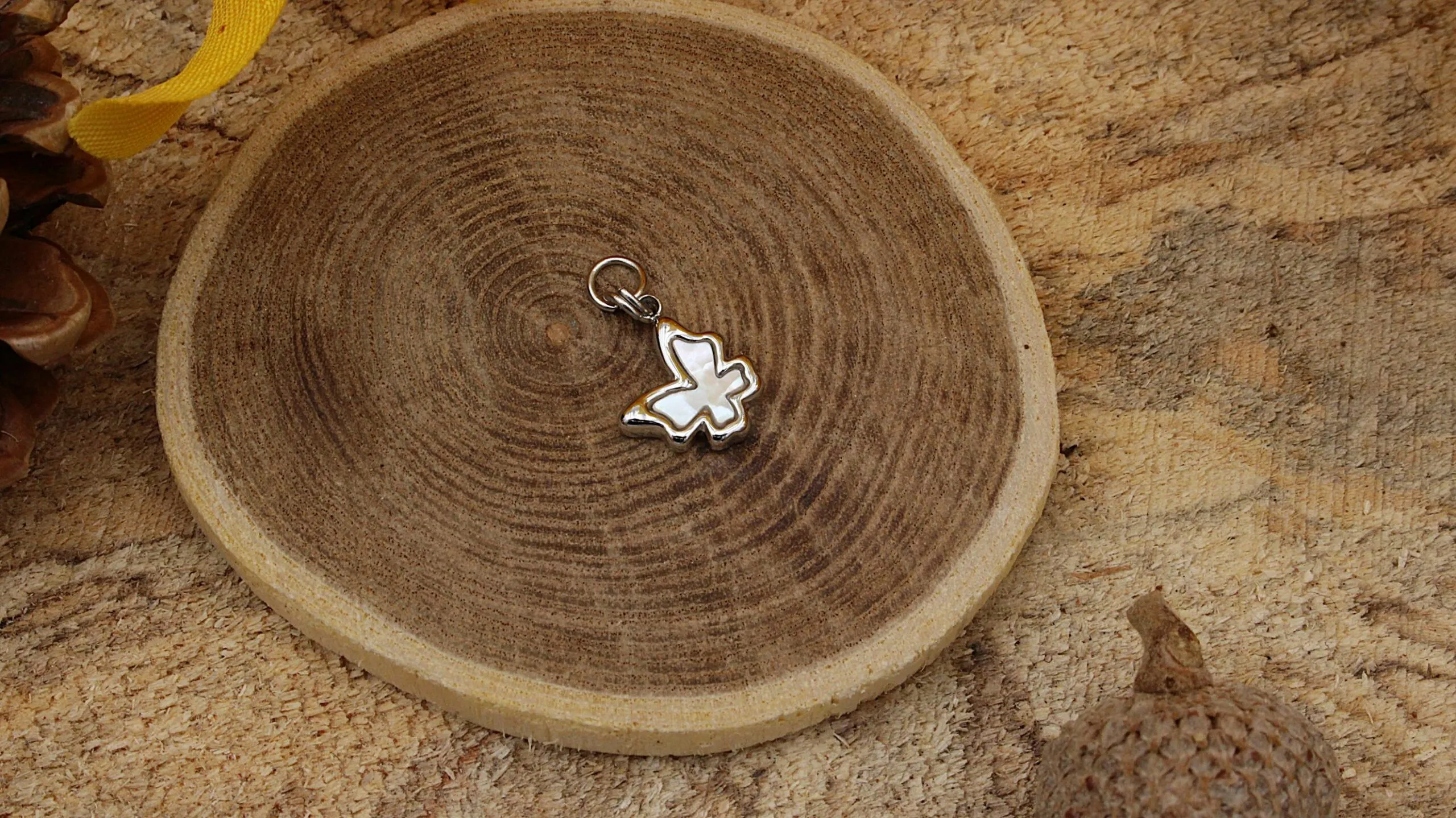 Charm’s Papillon Nacré (Lilou) – Image 3